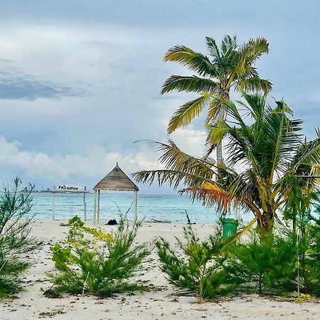 Hotel La Isla Tropica Guraidhoo  Exterior foto