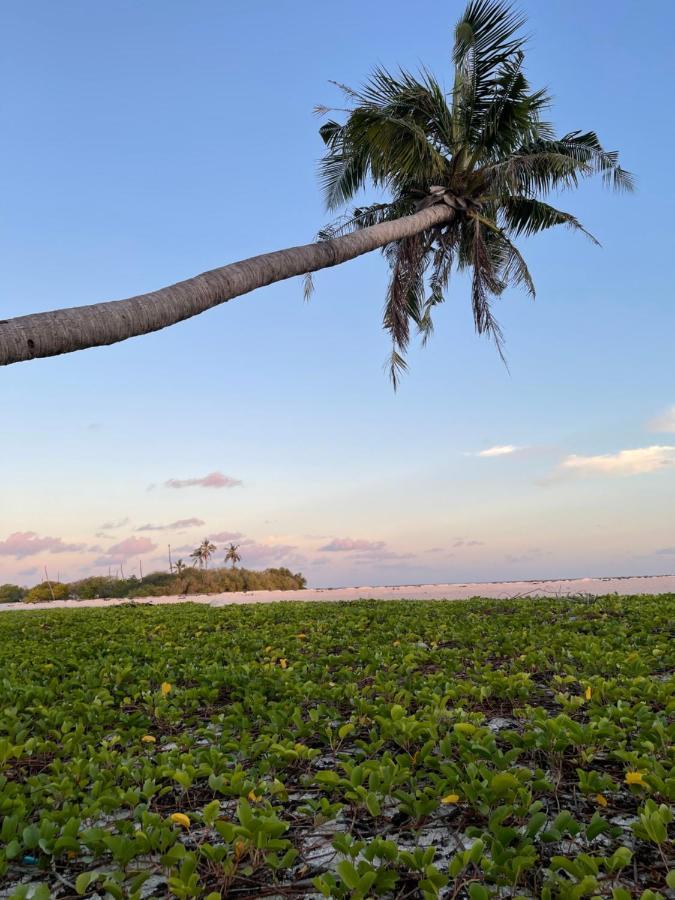 Hotel La Isla Tropica Guraidhoo  Exterior foto