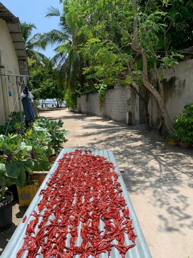Hotel La Isla Tropica Guraidhoo  Exterior foto
