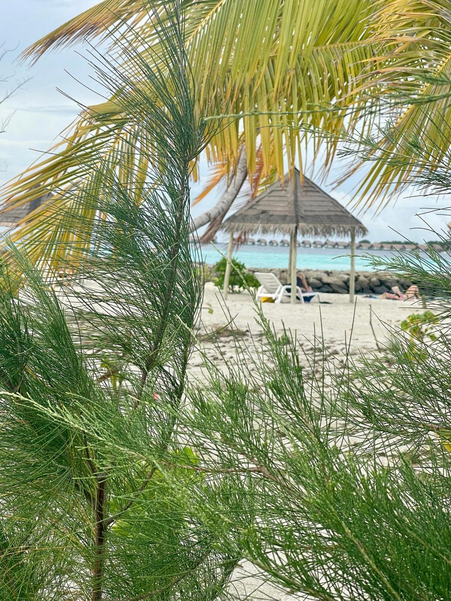 Hotel La Isla Tropica Guraidhoo  Exterior foto