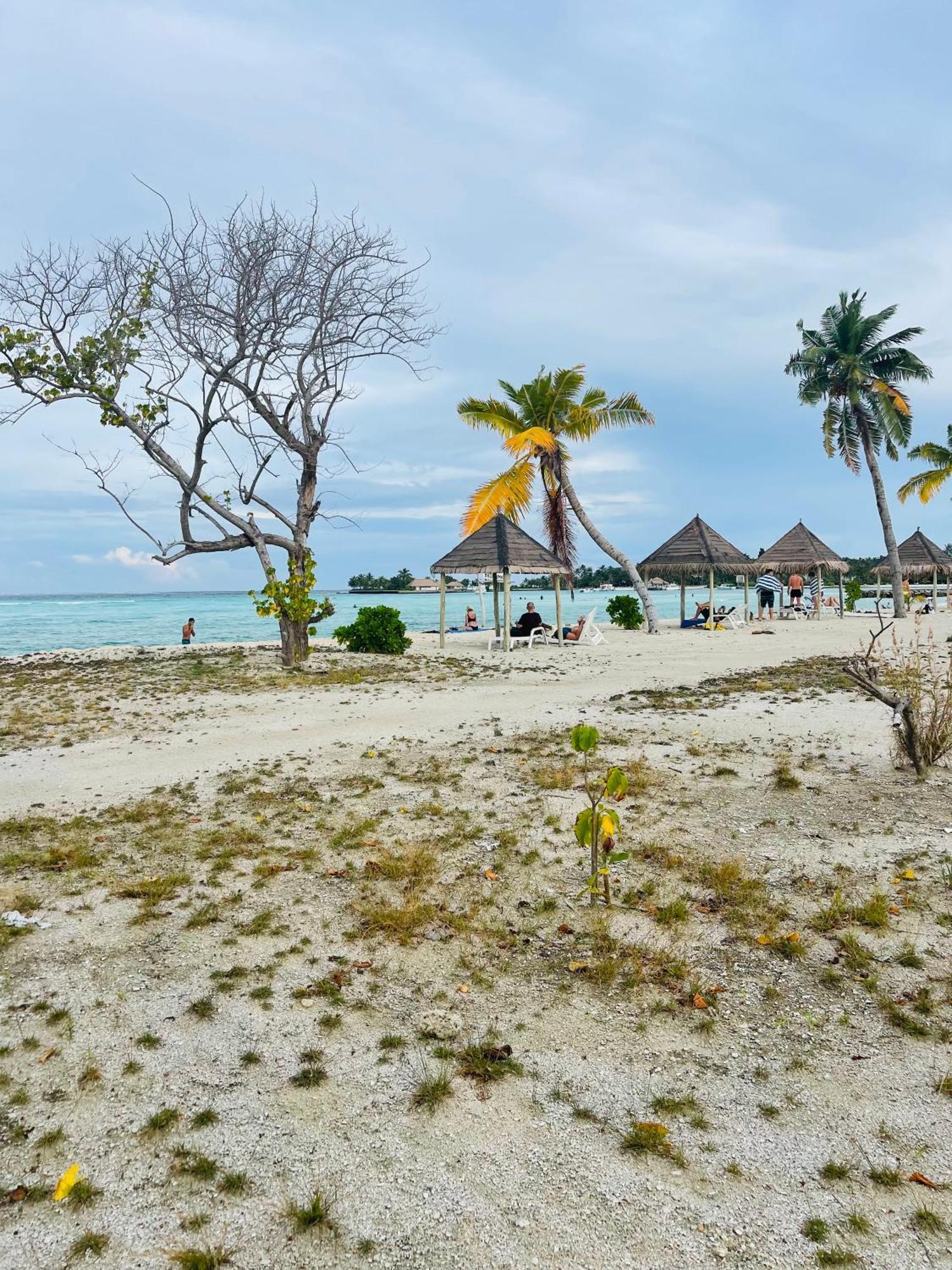 Hotel La Isla Tropica Guraidhoo  Exterior foto